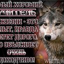 ���� ������, ������, 39 ��� - ��������� 24 ���� 2026 � ������ ���� ����������