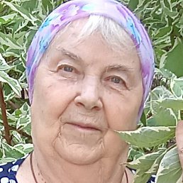 ������� ��������, ������, 66 ���