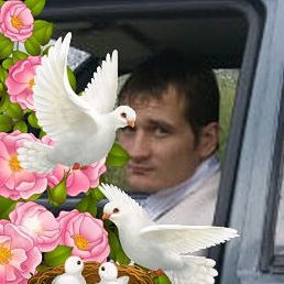 �������, ���������, 41 ���