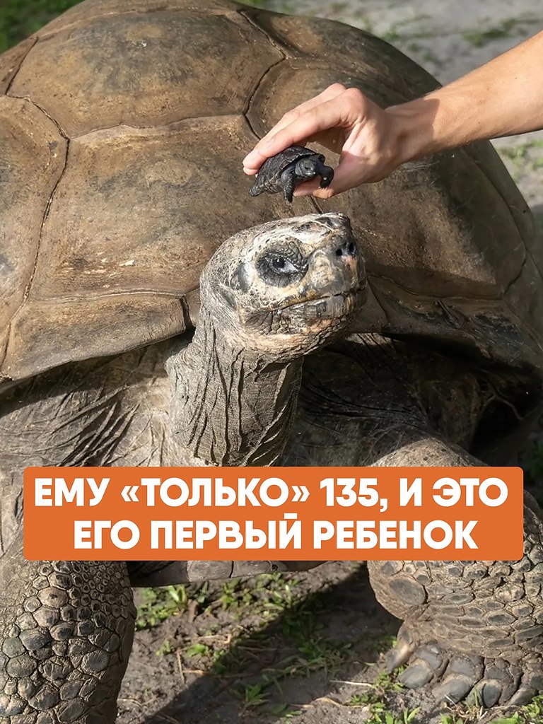 �������� � ���� �� ����� ������� ������� �� �����. ��� ���� ��� �����, ����� �� ������� ������ ...