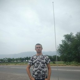 , 41, 