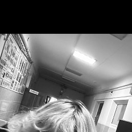 ������, 39 ���, ������