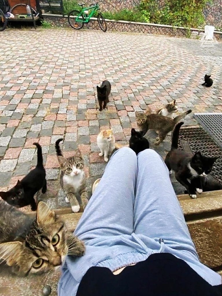 ��� ������ ����� �� �������� � ������. �����! �������, ��� ����� ������� - 2