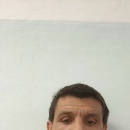 , 44 , 