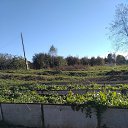  Elena, -, 76  -  8  2025