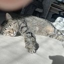 ���� �������, ������, 35 ��� - ��������� 7 �������� 2025 � ������ ���� ����������