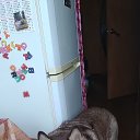 ���� ��������, ��������, 41 ��� - ��������� 26 ������ 2025 � ������ ������ ��������