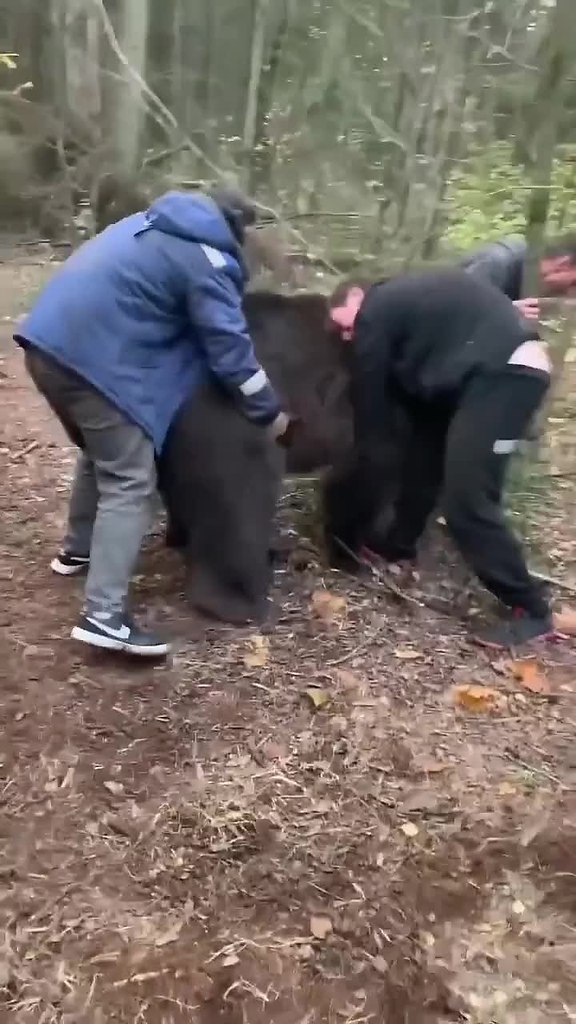 �������� ����� �������� ��������, � ��� �� ������
