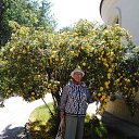  , , 74  -  25  2025     , 2025