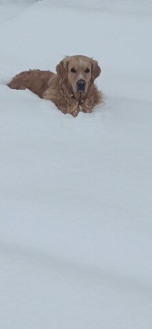 ���� ��������, ���������, 55 ��� - ��������� 11 ������� 2024