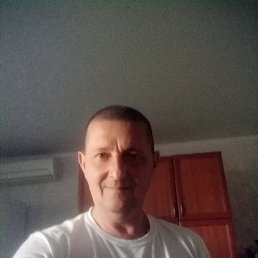 ���� ������, ������, 50 ��� - ��������� 12 ���� 2026