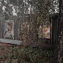 ���� ����, ������, 39 ��� - ��������� 6 �������� 2026 � ������ ������ ��������
