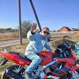 �������, �������, 48 ���