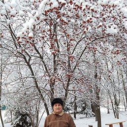 ����, ������-���, 58 ���