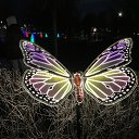 ���� �����, ����, 60 ��� - ��������� 6 ������ 2025 � ������ �������