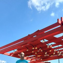 �����, ������, 37 ���