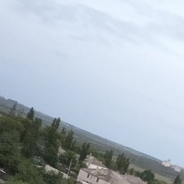 �����, ���������, 31 ���