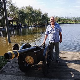 , 48, 