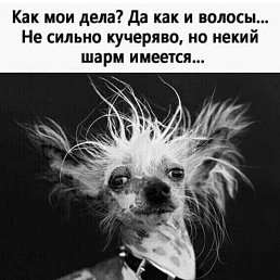 ���� Luba, ������, 53 ���� - ��������� 10 ��� 2026
