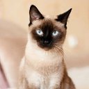 ���� �����, �������, 35 ��� - ��������� 13 ������� 2026 � ������ ���� ����������