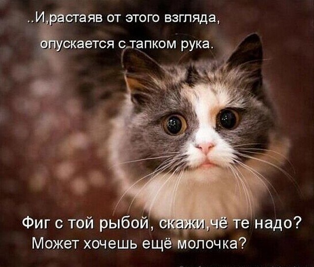 �����? ��, �� �������! - 16 ������� 2025 � 08:39