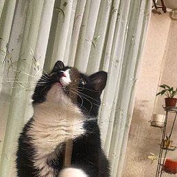 ���� ������, ��������, 68 ��� - ��������� 14 ���� 2024