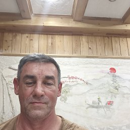 , 53, 
