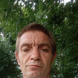 �������, 46 ���, ���������