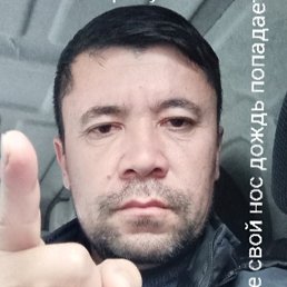����, �������, 46 ���