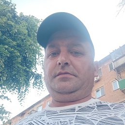 , 44 ,  