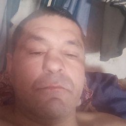 ������, ������, 43 ����