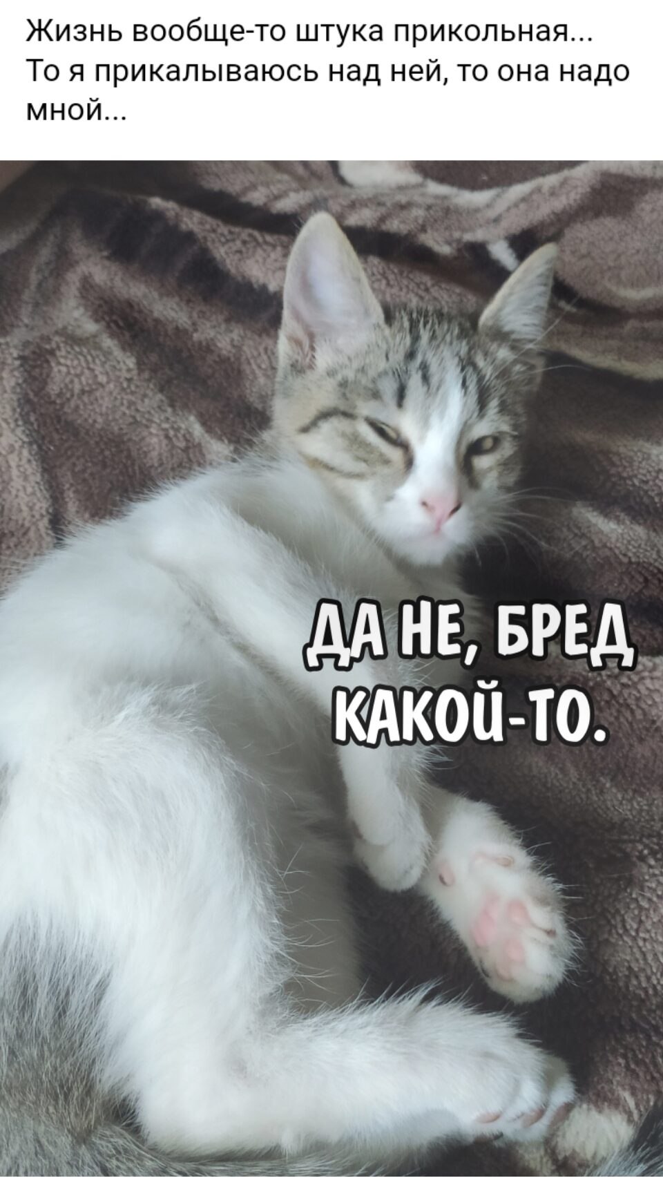 ***Victoria Viktorovna*** - 14  2025  03:30
