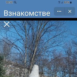 ������ ��������, �����-���������, 67 ���