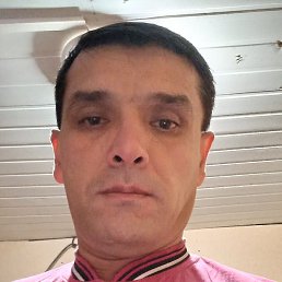 ����, �����-���������, 46 ���