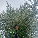 ���� �����, �����, 37 ��� - ��������� 19 ��� 2025