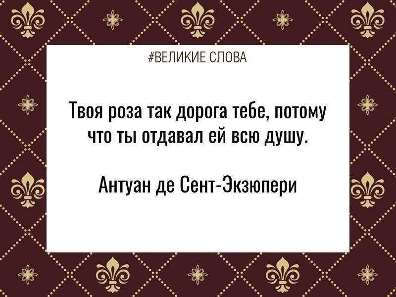 ������� ����� | ������, ����� � �������� - 25 ������ 2026 � 21:48