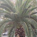 ���� ������, �������, 73 ���� - ��������� 19 ������ 2025 � ������ ������ ��������