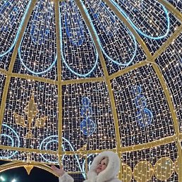 ���� �������, ��������, 62 ���� - ��������� 31 ����� 2024