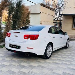 Shaxrux, ������, 29 ���