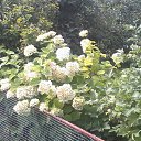 ���� ���������, �������� - ��������� 22 ������� 2025 � ������ �����