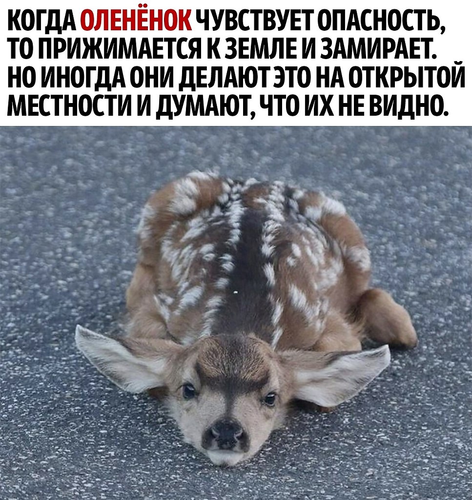 �� ��� ���� ���� � �������������