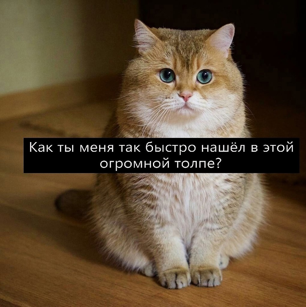  - 24  2025  21:56