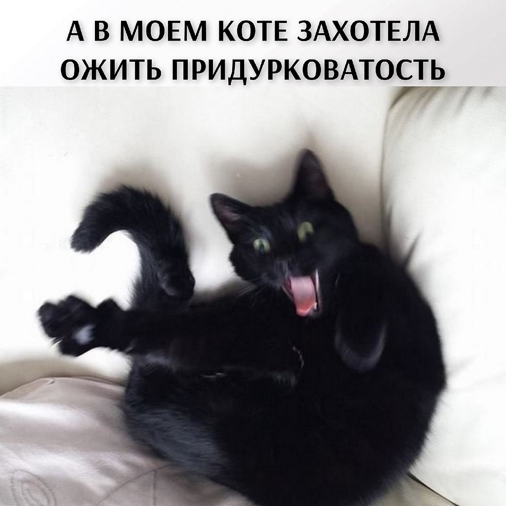 ��� ���� � ����� �� �� - 22 ������� 2026 � 17:30 - 2