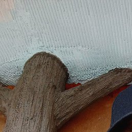 ������, ��������, 54 ����