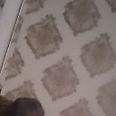 ���� �����, ���������, 24 ���� - ��������� 20 ������� 2024 � ������ ���� ����������