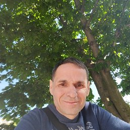 , 41, 