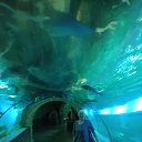 ���� �����, ��������, 47 ��� - ��������� 22 ���� 2025 � ������ ���� ����������