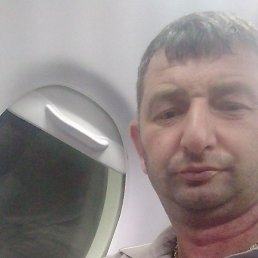 ����, ���������, 40 ���