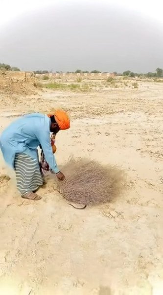 ��������, � �� ����� ��� ���������, ������ ���������) - 2