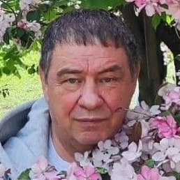 �����, ���, 64 ����